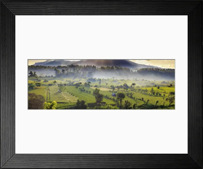 Framed Print : Indonesia, Bali, Tirta Gangga, Rice Terraces Framed Print : Indonesia, Bali, Tirta Gangga, Rice Terraces
