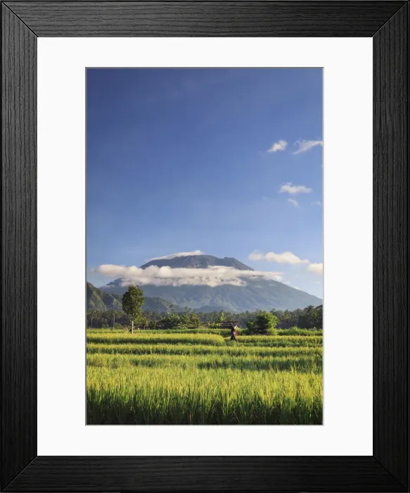 Framed Print : Indonesia, Bali, Rice Terraces and Gunung Agung Volcano
