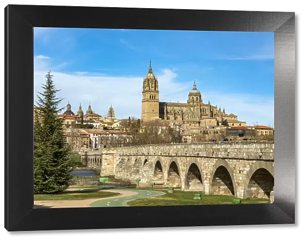 Roman bridge with the Cathedral in the background, Salamanca, Castile and Leon, Spain