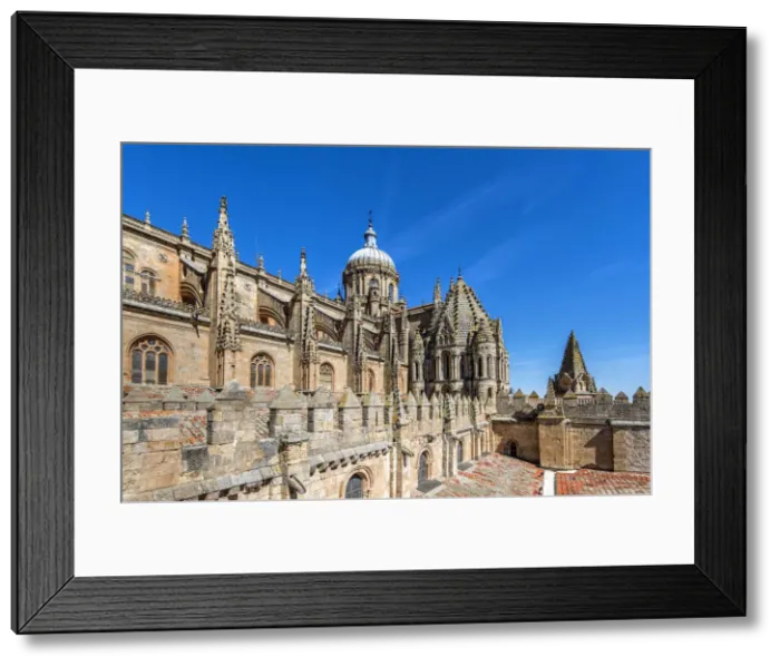 Framed Print : Old Cathedral, Salamanca, Castile and Leon, Spain