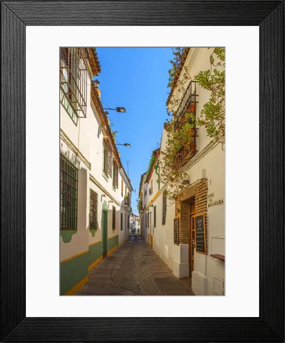 Framed Print : Alley at Cordoba, Andalusia; Spain Framed Print : Alley at Cordoba, Andalusia; Spain