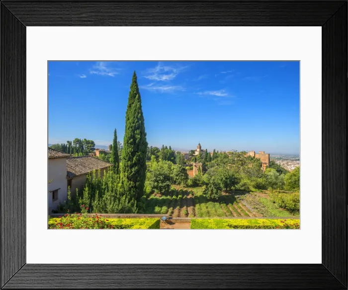 Framed Print : View at the Alhambra from the Generalife gardens, UNESCO World Heritage Site, Granada Framed Print : View at the Alhambra from the Generalife gardens, UNESCO World Heritage Site, Granada