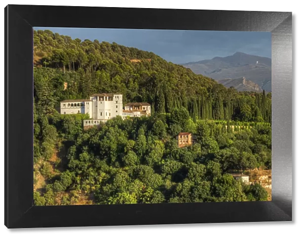 View at the Generalife from Albaicin, UNESCO World Heritage Site, Granada, Andalusia