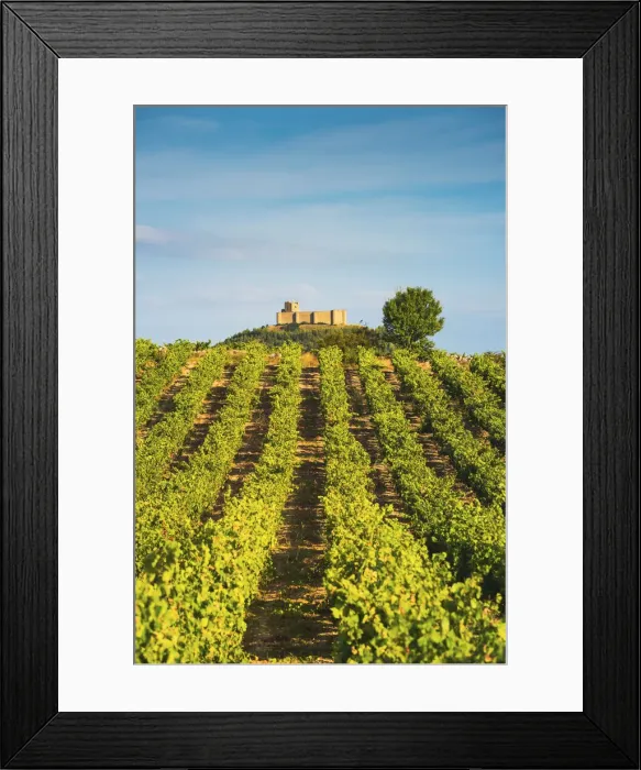 Framed Print : Spain, La Rioja. Vineyards and Davalillo Castle in the background Framed Print : Spain, La Rioja. Vineyards and Davalillo Castle in the background