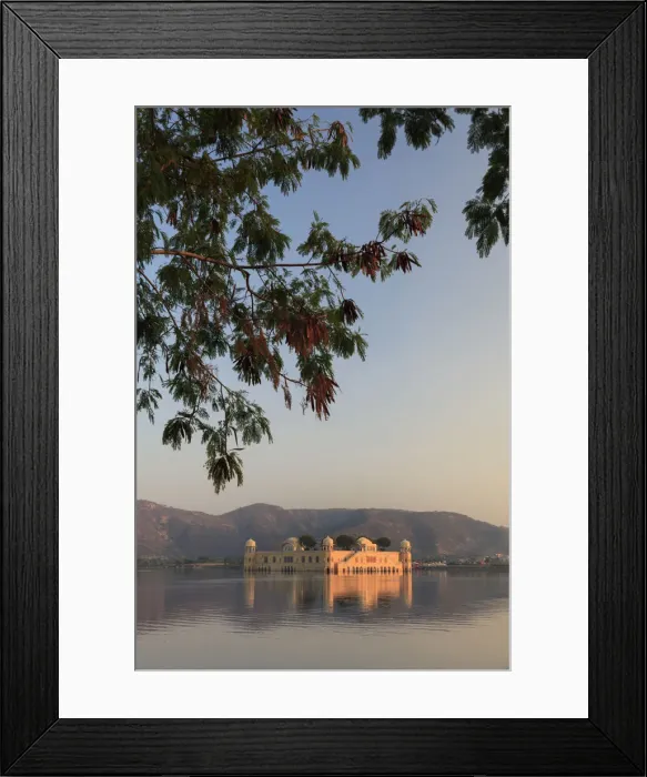 Framed Print : India, Rajasthan, Jaipur, Jal Mahal (Water Palace) Framed Print : India, Rajasthan, Jaipur, Jal Mahal (Water Palace)