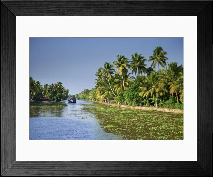 Framed Print : Kerala Backwaters near Allapuzha, Kerala, India