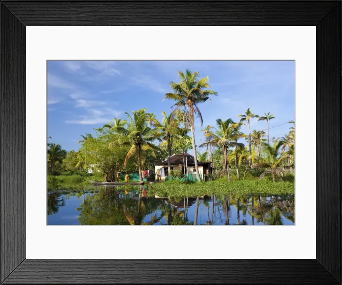 Framed Print : Backwaters, Alappuzha or Alleppey, Kerala, India Framed Print : Backwaters, Alappuzha or Alleppey, Kerala, India