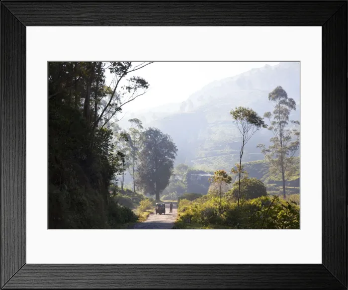 Framed Print : Road, Munnar, Western Ghats, Kerala, South India Framed Print : Road, Munnar, Western Ghats, Kerala, South India