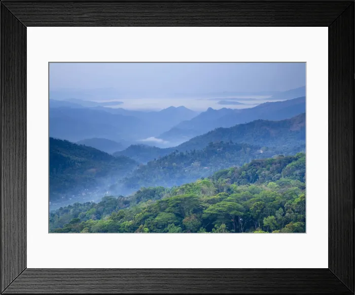 Framed Print : Tea Plantations, Munnar, Western Ghats, Kerala, India Framed Print : Tea Plantations, Munnar, Western Ghats, Kerala, India
