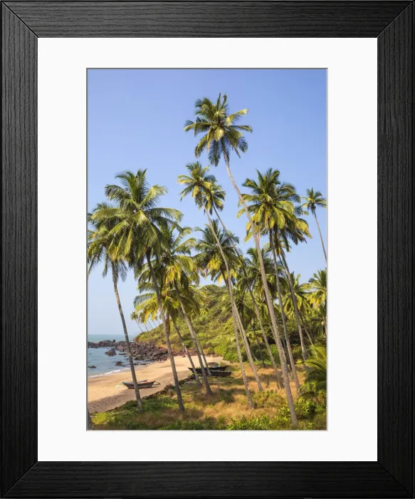 Framed Print : India, Goa, Cola beach Framed Print : India, Goa, Cola beach