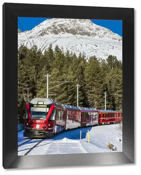 Winter view of the famous Bernina Express red train near Pontresina, Graubunden