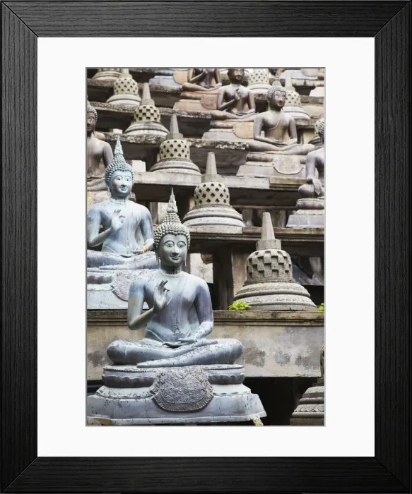 Framed Print : Statues at Gangaramaya temple, Cinnamon Gardens, Colombo, Sri Lanka