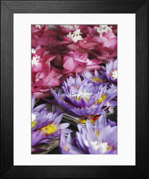 Framed Print : Flower offerings for sale at Temple of the Tooth (Sri Dalada Maligawa), Kandy, Sri Lanka Framed Print : Flower offerings for sale at Temple of the Tooth (Sri Dalada Maligawa), Kandy, Sri Lanka
