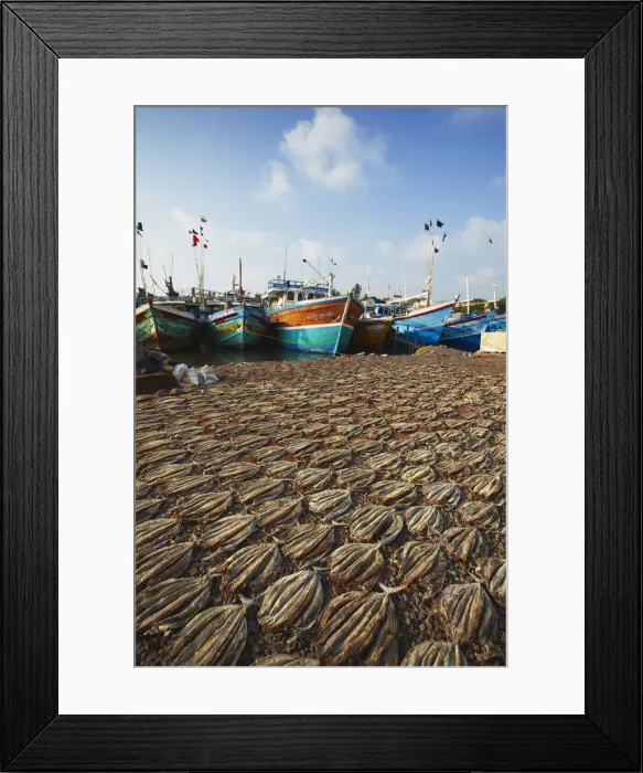 Framed Print : Dried fish, Negombo, Western Province, Sri Lanka