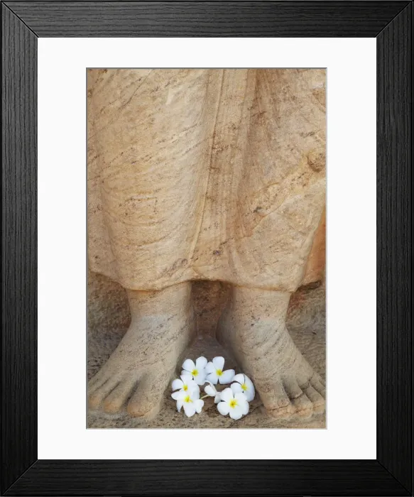 Framed Print : Frangipani flowers at feet of statue of Parakramabahu, Southern Ruins, Polonnaruwa