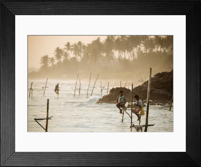 Framed Print : Stilt Fishermen at dusk, Weligama, South Coast, Sri Lanka, Asia Framed Print : Stilt Fishermen at dusk, Weligama, South Coast, Sri Lanka, Asia