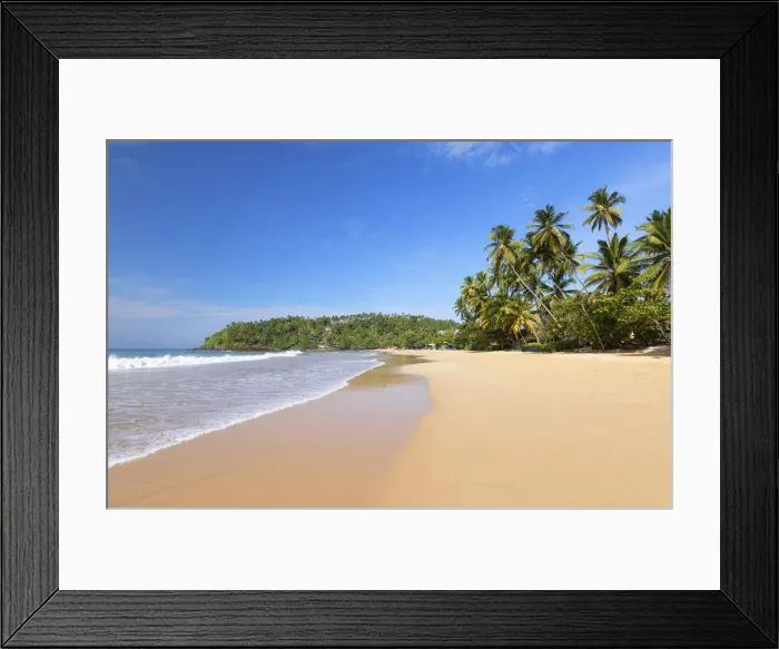 Framed Print : Mirissa beach, Southern Province, Sri Lanka Framed Print : Mirissa beach, Southern Province, Sri Lanka