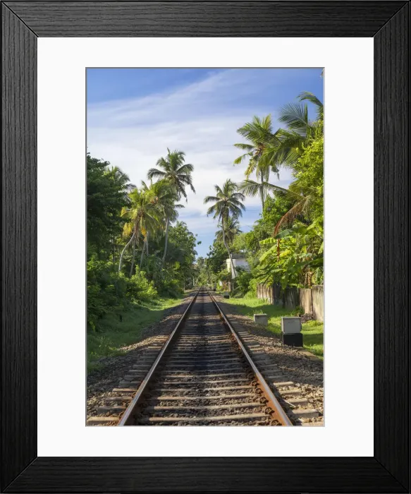 Framed Print : Railway tracks, Hikkaduwa, Southern Province, Sri Lanka Framed Print : Railway tracks, Hikkaduwa, Southern Province, Sri Lanka