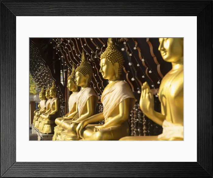 Framed Print : Statues at Seema Malakaya on Bere Lake, Colombo, Sri Lanka Framed Print : Statues at Seema Malakaya on Bere Lake, Colombo, Sri Lanka
