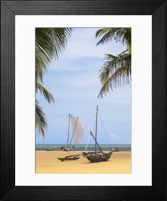Framed Print : Oruwa (outrigger canoe) on Negombo beach, Western Province, Sri Lanka Framed Print : Oruwa (outrigger canoe) on Negombo beach, Western Province, Sri Lanka
