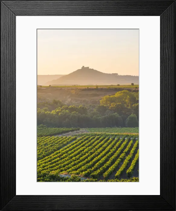 Framed Print : Spain, La Rioja. Vineyards at sunrise and Davalillo Castle in the background Framed Print : Spain, La Rioja. Vineyards at sunrise and Davalillo Castle in the background