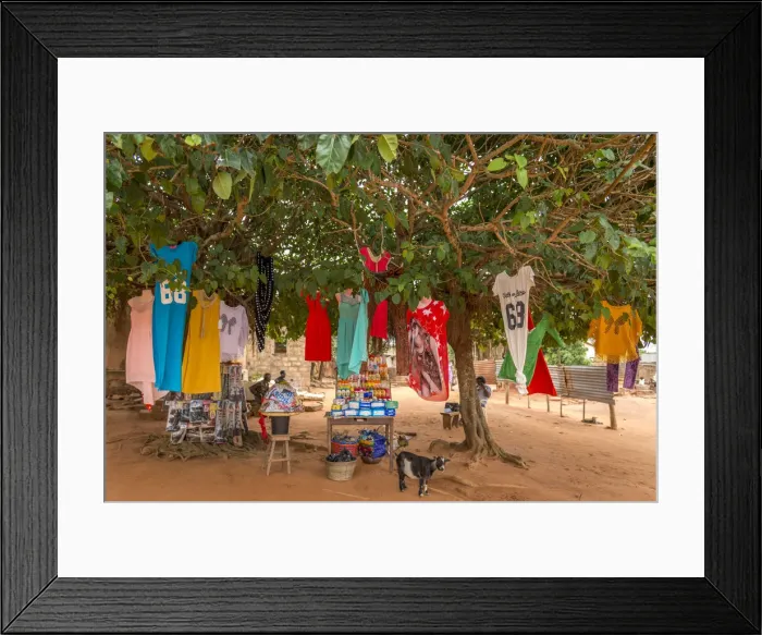 Framed Print : Africa, Togo, Togoville. Shop under a tree selling cloths