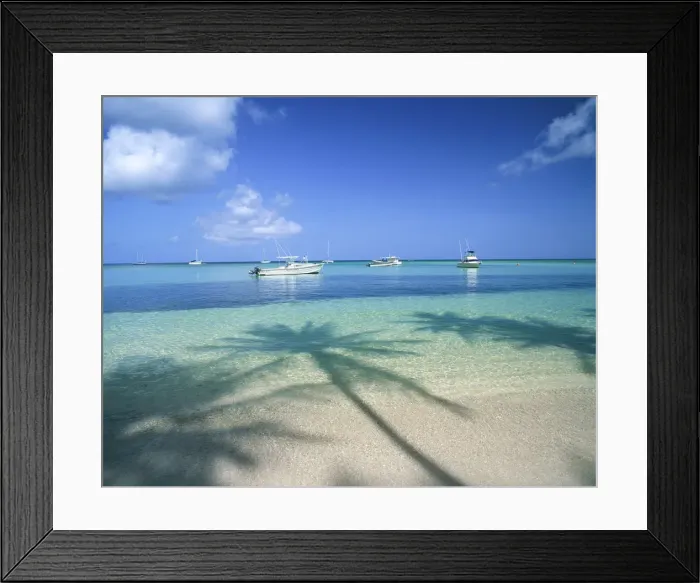 Framed Print : Palm Trees Shadows, Pigeon Point, Tobago, West Indies, Caribbean