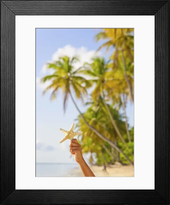 Framed Print : Trinidad and Tobago, Tobago Island, Pigeon Point, Childs hand holding starfish infront Framed Print : Trinidad and Tobago, Tobago Island, Pigeon Point, Childs hand holding starfish infront