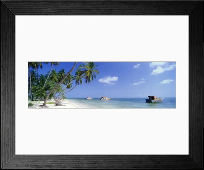 Framed Print : Palm Trees & Boats, Pigeon Point, Tobago, West Indies Framed Print : Palm Trees & Boats, Pigeon Point, Tobago, West Indies
