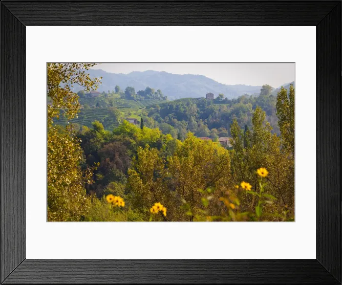 Framed Print : Italy, Veneto, Treviso district, Rolle locality Framed Print : Italy, Veneto, Treviso district, Rolle locality