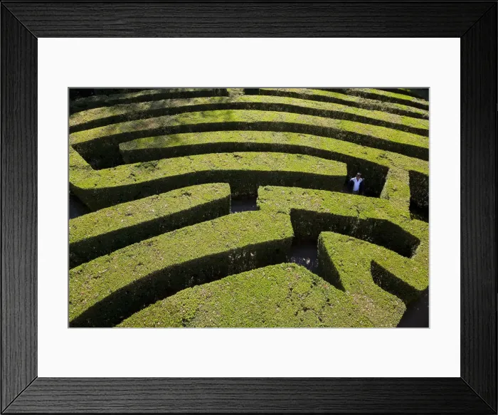 Framed Print : Maze, The Veneto, Italy Framed Print : Maze, The Veneto, Italy