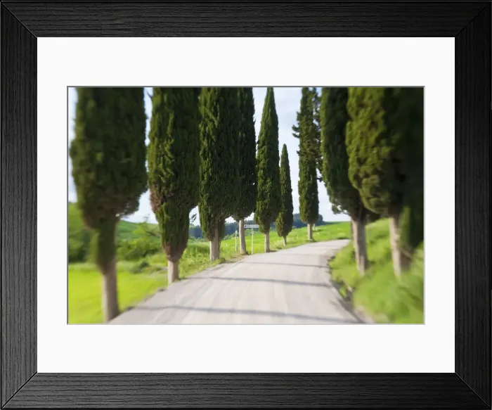 Framed Print : Winding Road, nr Pienza, Tuscany, Italy
