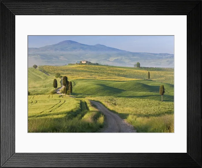 Framed Print : Track, San Quirico d orcia, Val d orcia, Tuscany, Italy Framed Print : Track, San Quirico d orcia, Val d orcia, Tuscany, Italy