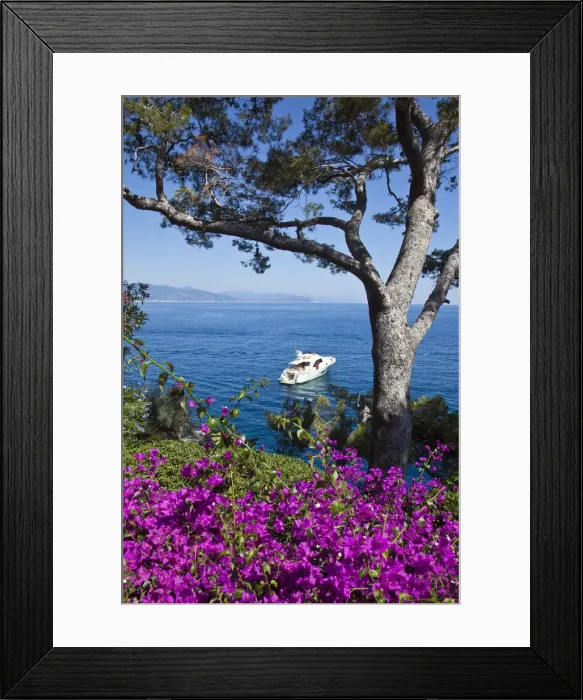 Framed Print : Portofino, Riviera di Levante, Liguria, Italy Framed Print : Portofino, Riviera di Levante, Liguria, Italy