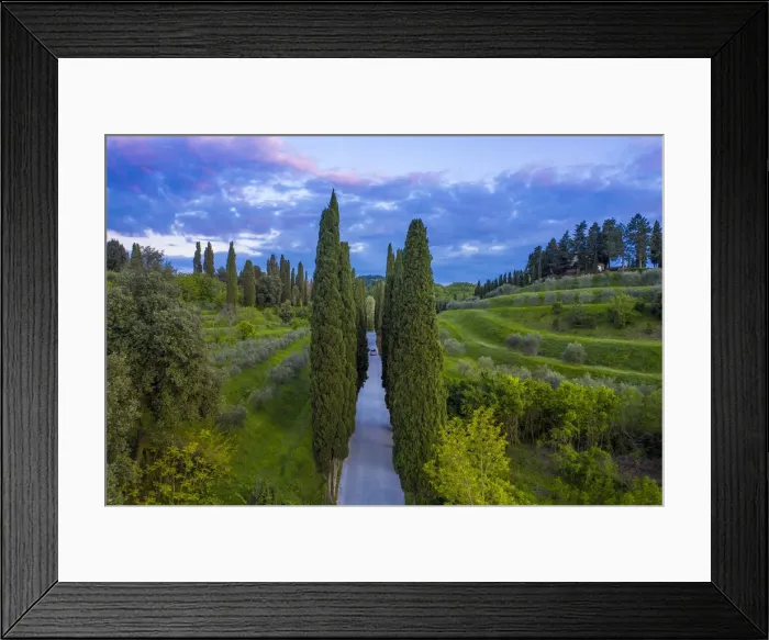 Framed Print : Italy, Tusany, Cypress Trees near Montepulciano Framed Print : Italy, Tusany, Cypress Trees near Montepulciano