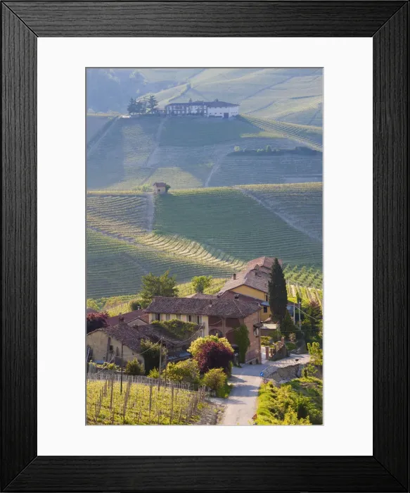 Framed Print : Hillsides covered with vineyards, nr Castiglione Falletto, Piedmont (or Piemont or Framed Print : Hillsides covered with vineyards, nr Castiglione Falletto, Piedmont (or Piemont or