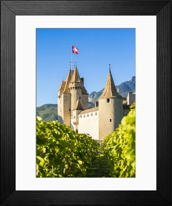 Framed Print : Chateau de Aigle Castle surrounded by vinefields during autumn harvest season, Aigle Framed Print : Chateau de Aigle Castle surrounded by vinefields during autumn harvest season, Aigle