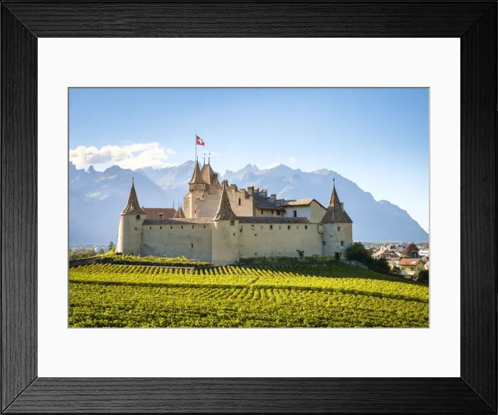 Framed Print : Chateau de Aigle Castle surrounded by vinefields during autumn harvest season, Aigle Framed Print : Chateau de Aigle Castle surrounded by vinefields during autumn harvest season, Aigle