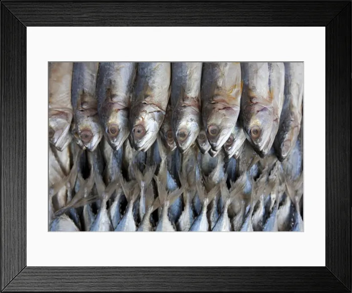 Framed Print : Bangkok, Thailand. Fish for sale in a market in Bangkok Framed Print : Bangkok, Thailand. Fish for sale in a market in Bangkok