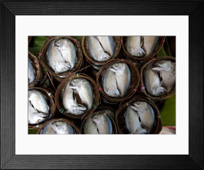 Framed Print : Bangkok, Thailand. Fish for sale in a market in Bangkok Framed Print : Bangkok, Thailand. Fish for sale in a market in Bangkok