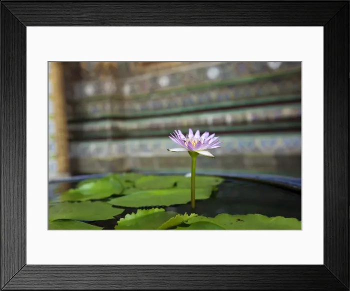Framed Print : Scene around Wat Pho in Bangkok Thailand Framed Print : Scene around Wat Pho in Bangkok Thailand