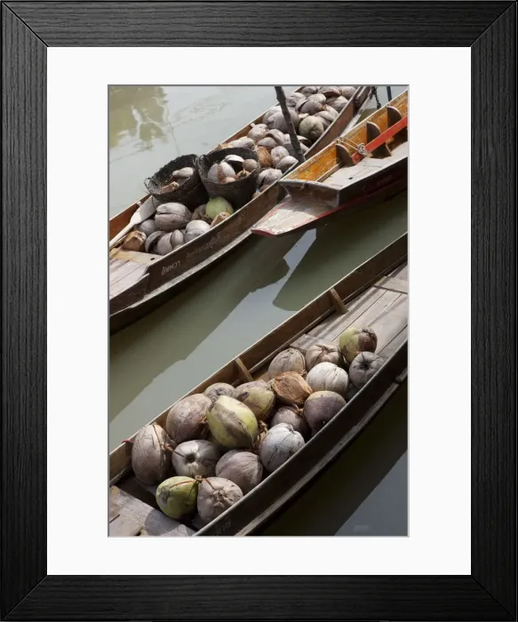 Framed Print : Bangkok, Thailand. Traditional boats in a floating market near Bangkok Framed Print : Bangkok, Thailand. Traditional boats in a floating market near Bangkok