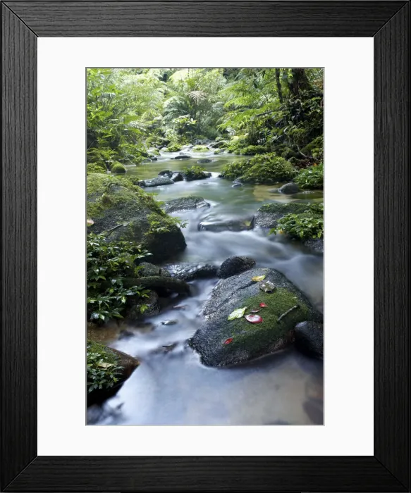 Framed Print : South East Asia, Thailand, South Thailand, Nakhon Si Thammarat province, Khao Luang Framed Print : South East Asia, Thailand, South Thailand, Nakhon Si Thammarat province, Khao Luang