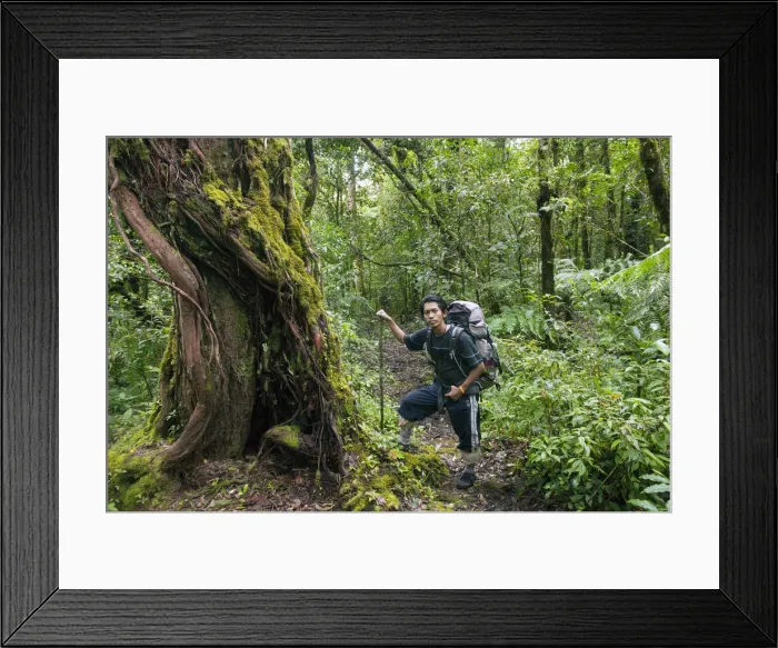 Framed Print : South East Asia, Thailand, South Thailand, Nakhon Si Thammarat province, Khao Luang Framed Print : South East Asia, Thailand, South Thailand, Nakhon Si Thammarat province, Khao Luang