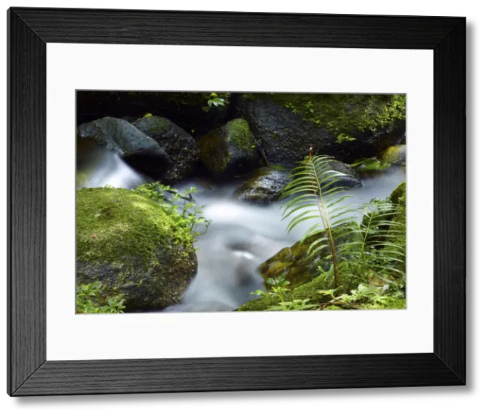 Framed Print : South East Asia, Thailand, South Thailand, Nakhon Si Thammarat province, Khao Luang Framed Print : South East Asia, Thailand, South Thailand, Nakhon Si Thammarat province, Khao Luang