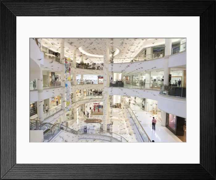 Framed Print : South East Asia, Thailand, Bangkok, Pathum Wan, galleries in the Gaysorn plaza shopping