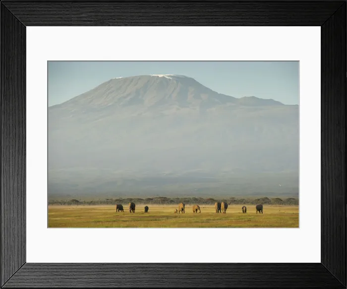 Framed Print : Elephants and Mount Kilimanjaro, Amboseli, Kenya Framed Print : Elephants and Mount Kilimanjaro, Amboseli, Kenya