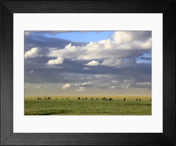 Framed Print : Amboseli National Park, Kenya Framed Print : Amboseli National Park, Kenya