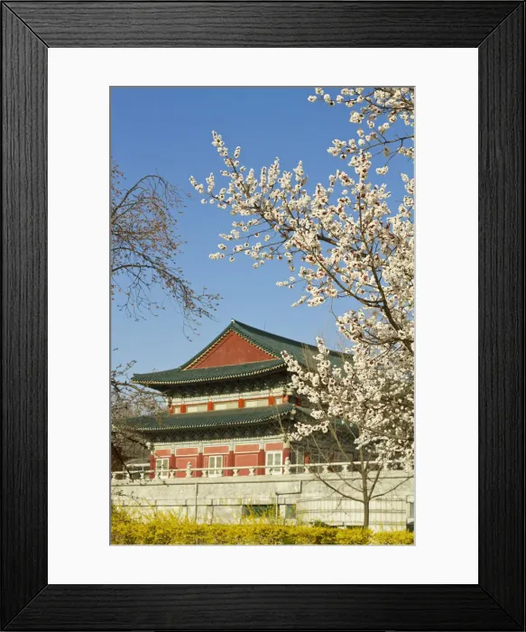Framed Print : Korea, Seoul, Gyeongbokgung Palace Framed Print : Korea, Seoul, Gyeongbokgung Palace