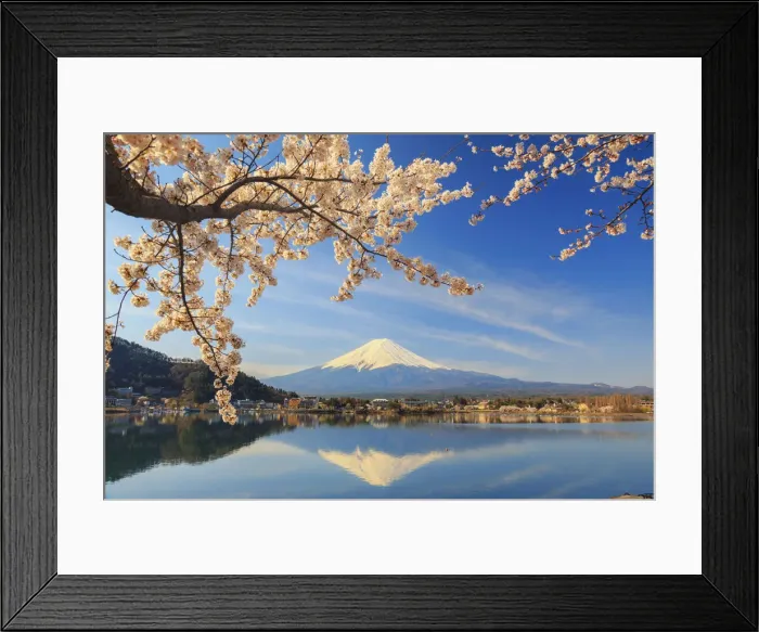 Framed Print : Japan, Yamanashi Prefecture, Kawaguchi-ko Lake, Mt Fuji and Cherry Blossoms Framed Print : Japan, Yamanashi Prefecture, Kawaguchi-ko Lake, Mt Fuji and Cherry Blossoms